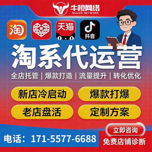 绥化电商代运营