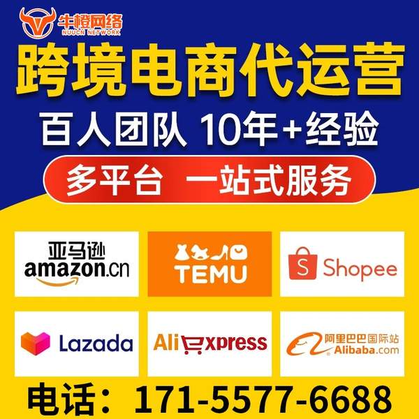 绥化电商代运营