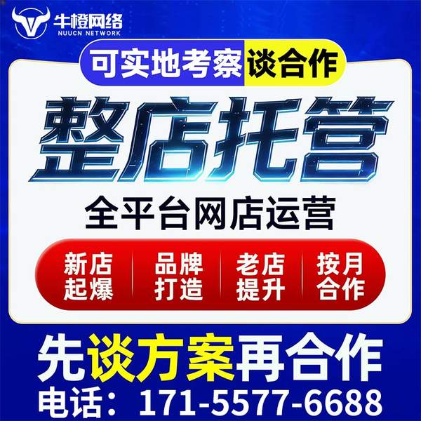 绥化电商代运营
