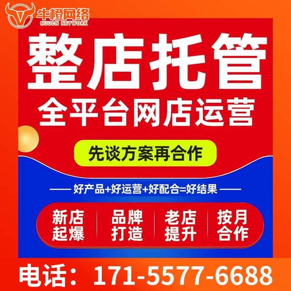 绥化电商代运营