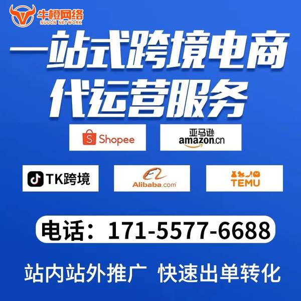 绥化电商代运营
