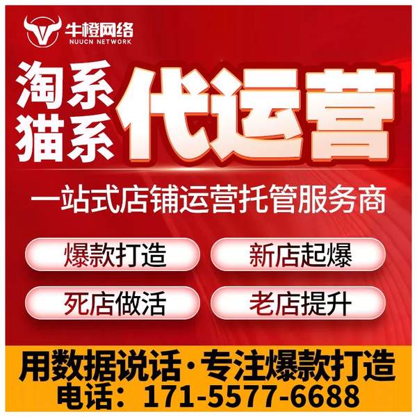绥化电商代运营